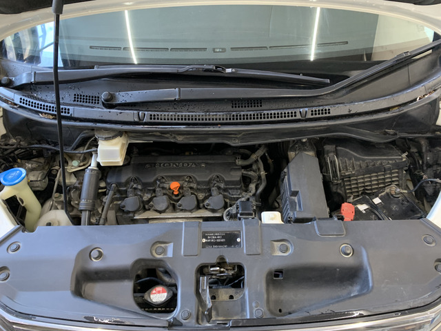 ����]�̂��Ԃ����q�l�ƈꏏ�ɂ��T�����邱�Ƃ��\�ł�!�܂��͂���]�������������������B