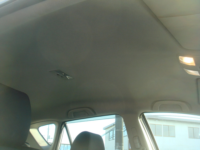 �Y��ȓV����ł�