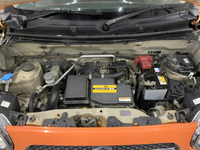 ����]�̂��Ԃ����q�l�ƈꏏ�ɂ��T�����邱�Ƃ��\�ł�!�܂��͂���]�������������������B