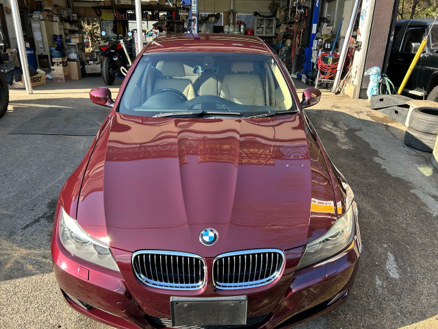 �{�f�B���ƂĂ��������肫�ꂢ�ł��B