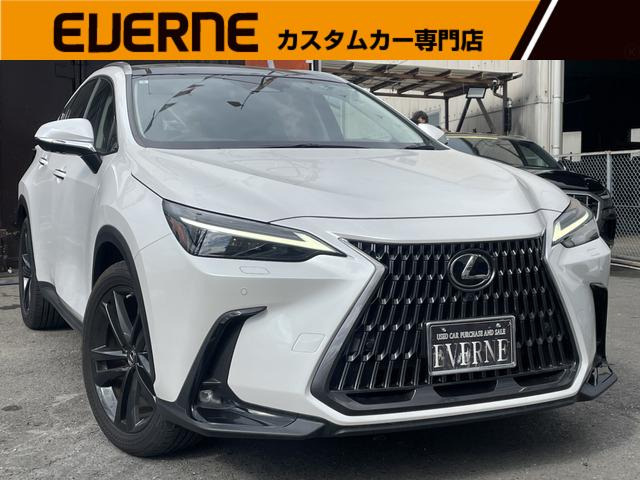 NX（レクサス）250 バージョンL　ワンオーナー/14型ナビ/本革/Pゲート 中古車画像