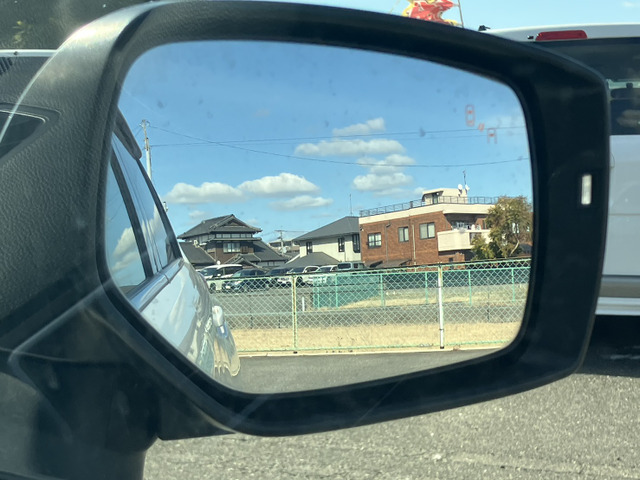 �I�v�V�����̃��A�r�[�N���f�B�e�N�V����(�u���C���h�X�|�b�g���j�^�[)�t��