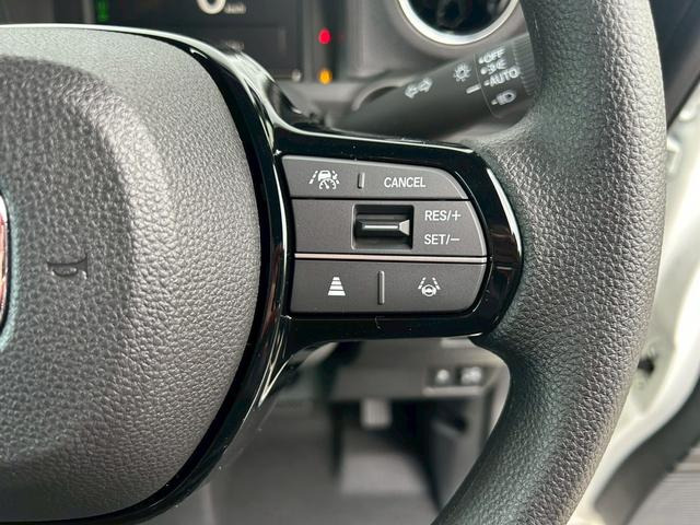 �I�[�g�N���[�Y�R���g���[�����ځ��A�N�Z���y�_���𓥂܂��ɐݒ肵���ԑ���ۂ��Ƃ��ł��܂��B�����^�]�⃍���O�h���C�u�Ŋ��􂵂܂�!