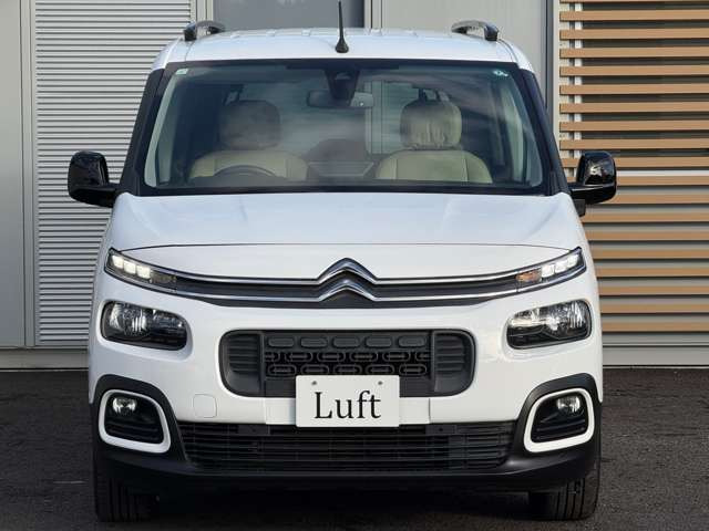 �{�f�B�J���[:�z���C�g!�j����킸�l�C�̍����J���[�ł�!