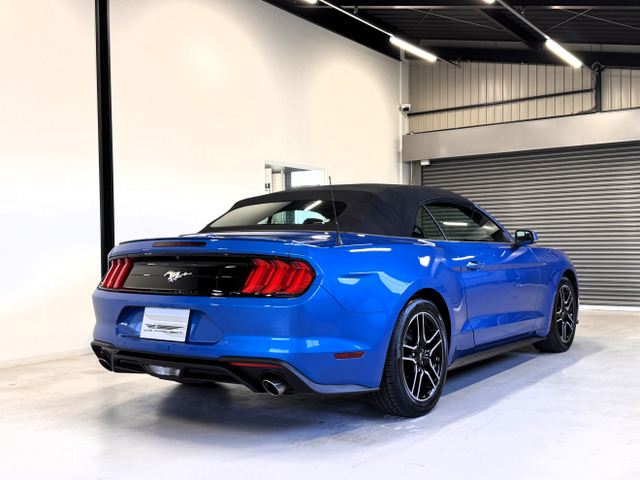 マスタングコンバーチブル