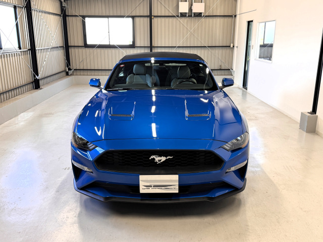 マスタングコンバーチブル