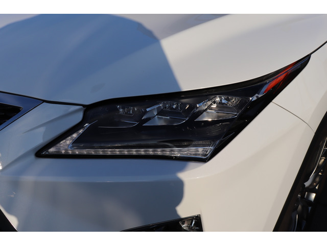 �O��w�b�h���C�g�Ŏ��F�����悭�E�B���J�[���V�[�P���V�����ł������ł�!