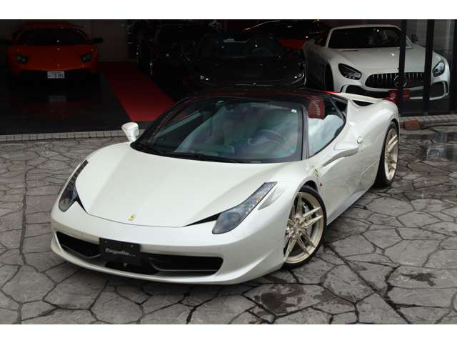 �����{�f�B�J���[�y�C���g(�r�A���R�t�W�E�l���f�C�g�i)��3,800,000