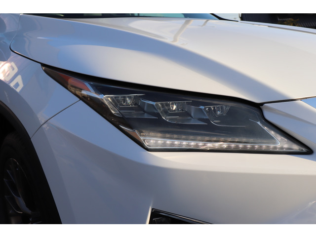 �O��w�b�h���C�g�Ŏ��F�����悭�E�B���J�[���V�[�P���V�����ł������ł�!