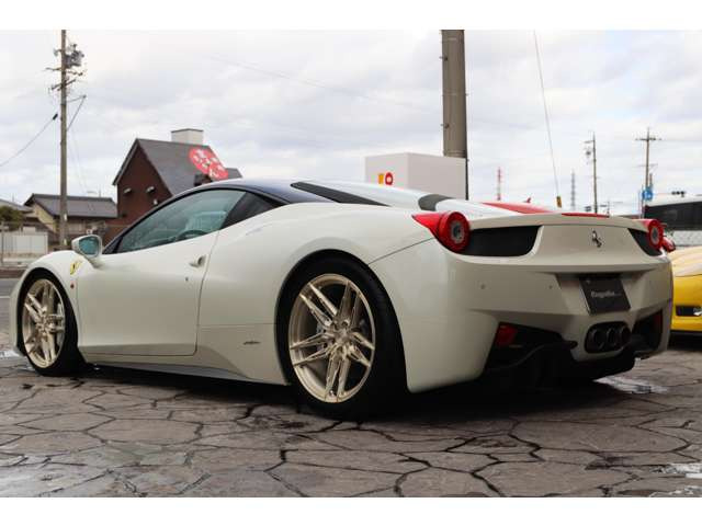 Novitec�X�|�[�c�X�v�����O��313,500