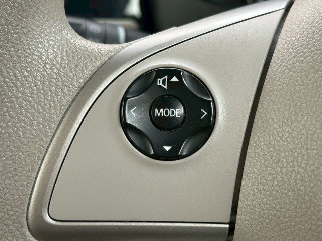 �^�]�����ʂ̏グ�������茳�Ŋy�X���