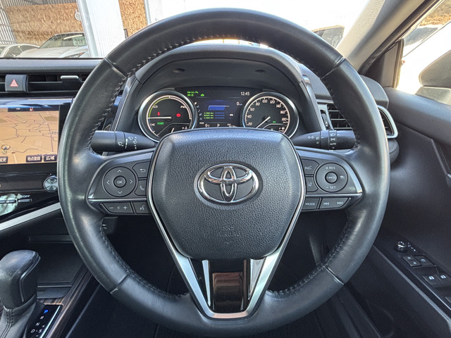 �{�v�����̃X�e�A�����O