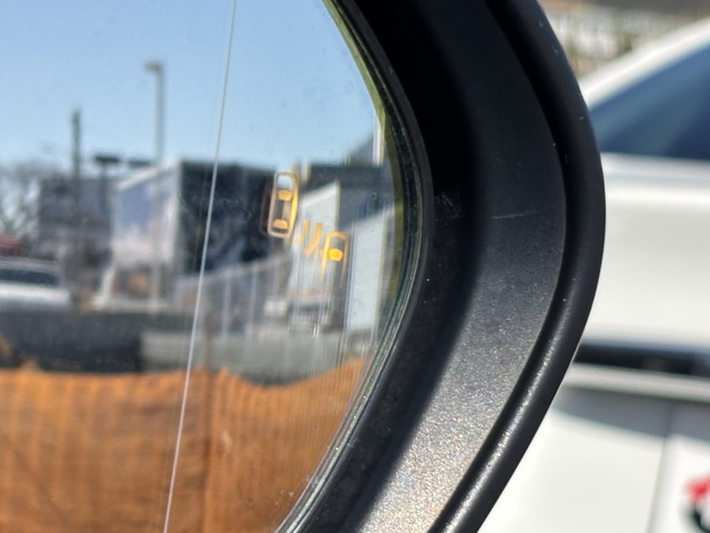 �u���C���h�X�|�b�g���j�^�[