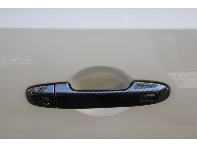 ☆【新品】カーボンドアカバー