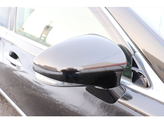 �u���C���h�X�|�b�g���j�^�[�����ł��B