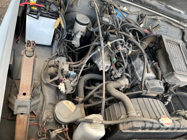 �Ԃ̐S�����͑f�̏�Ԃł��m�F�������������̂ŁA������㐴�|���{�������܂��B