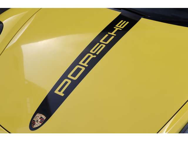 �Z���^�[�X�g���C�v�E�{���l�b�g�v���e�N�V�����t�B����