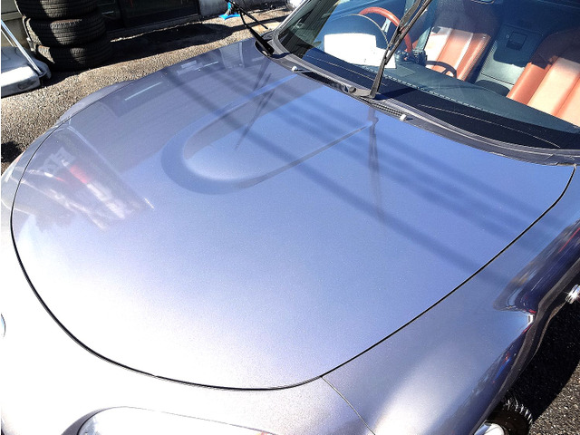 ���h����Ԃ��ǍD��