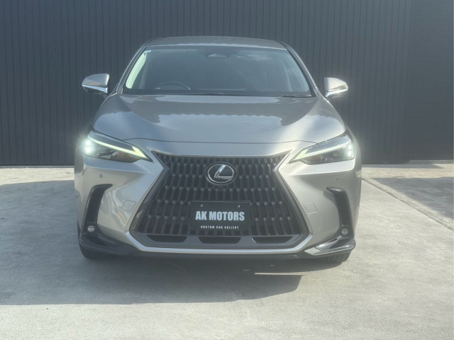 NX350h