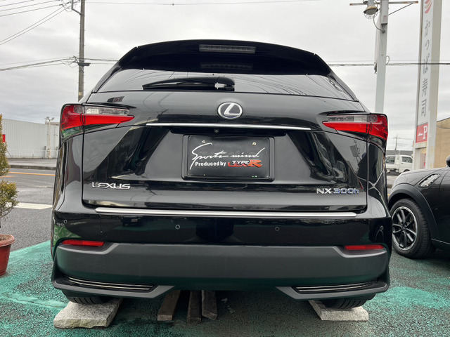 NX300h Fスポーツ 4WD