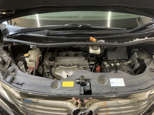 ����]�̂��Ԃ����q�l�ƈꏏ�ɂ��T�����邱�Ƃ��\�ł�!�܂��͂���]�������������������B