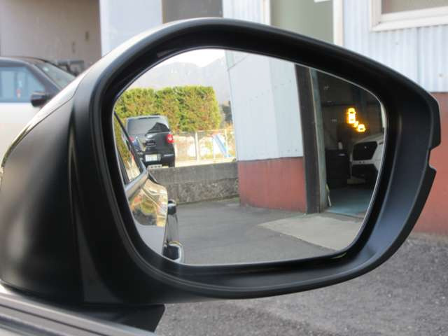 �u���C���h�X�|�b�g�C���t�H���[�V����!���s���̎΂ߌ���ԗ������m���A�h�A�~���[�̃}�[�N�ƌx�񉹂Œ��ӂ𑣂��Ă���܂�!