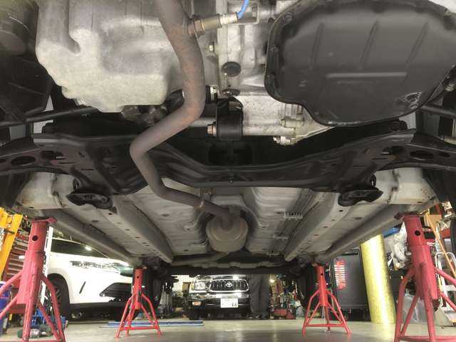 �I�C���R�ꓙ����