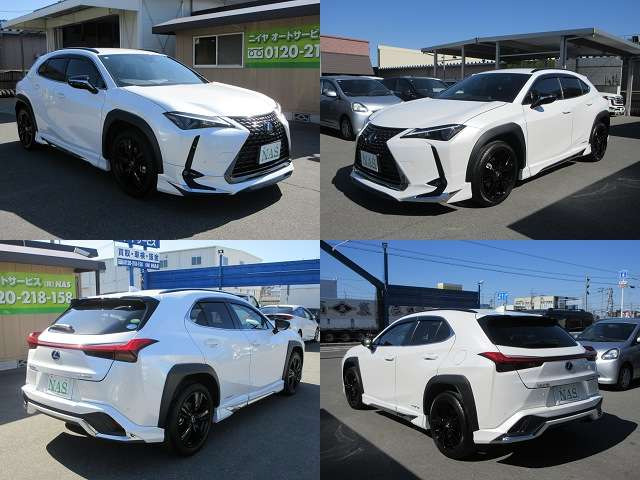 UX250h アーバン エレガンス