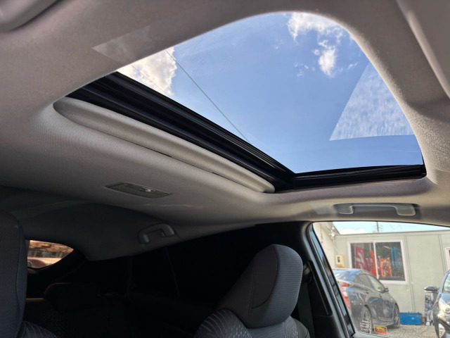 �y�T�����[�t�z���ڂ��Ă���܂�!