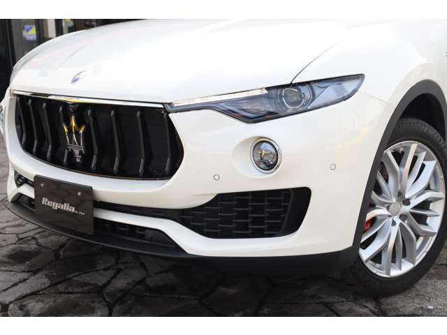 �w�b�h���C�g�����Y�ȂǗ򉻂��Ȃ��Y��ȏ�Ԃł��B