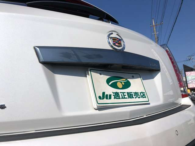 �o�b�N�J����!