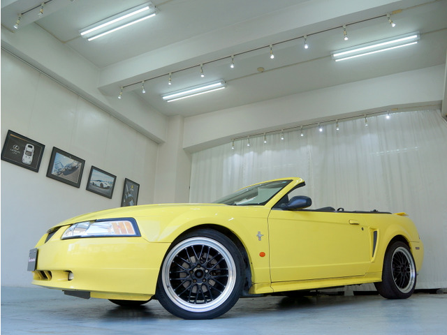 �C�G���[�{�f�B���I�[�v���ő���A�A�����J���ȏ�薡�͂ƂĂ��C�������ǂ��ł��B
