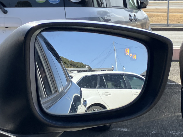 �I�v�V�����̃u���C���h�X�|�b�g���j�^�[�ł��B