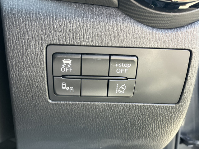 �I�v�V�����̃Z�[�t�e�BPKG�y�u���C���h�X�|�b�g���j�^�����O/���A�N���X�g���t�B�b�N�A���[�g/�n�C�r�[���R���g���[���V�X�e��/�Ԑ���E�x��z