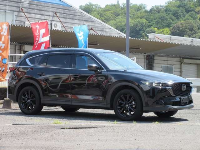 �{�f�B�J���[�̓N�[���ȃW�F�b�g�u���b�N�}�C�J!