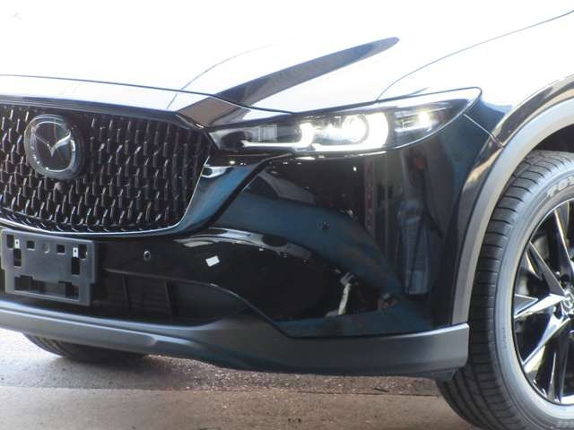 �������邢�������LED�Ŗ�ԁA���V�󎞂ł���������ƏƂ炵�܂�!