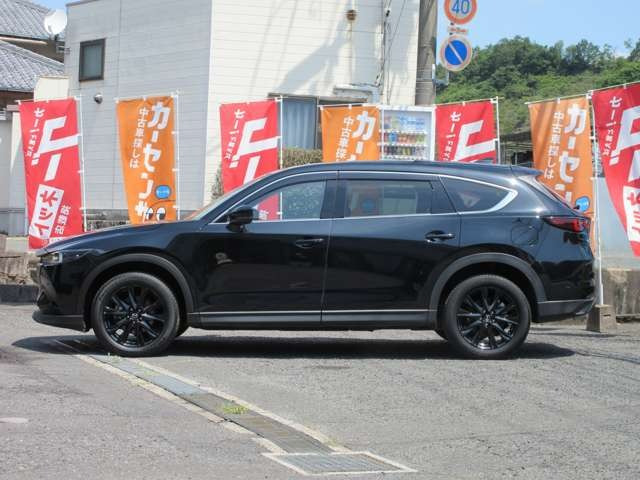 �㎿�ȑ�l�̃X�|�[�e�BSUV!