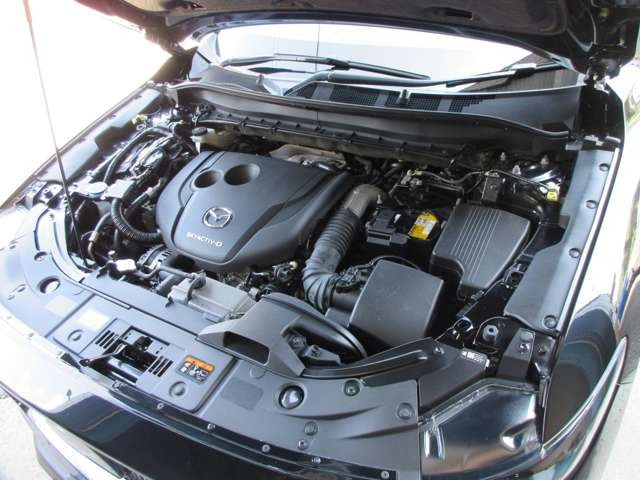 �͋���������y���߂�f�B�[�[���^�[�{�ASKYACTIV-D 2.2!�G���W���ǍD�ł�!!WLTC���[�h�R��15.8km/���b�g��(�J�^���O�l)