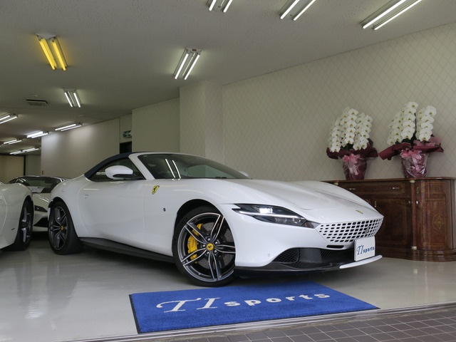 ���[�}�X�p�C�_�[(�t�F���[��)  ���Îԉ摜