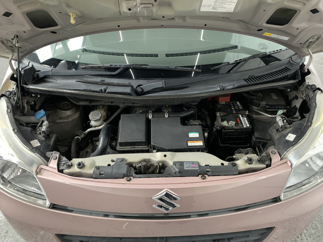 ����]�̂��Ԃ����q�l�ƈꏏ�ɂ��T�����邱�Ƃ��\�ł�!�܂��͂���]�������������������B