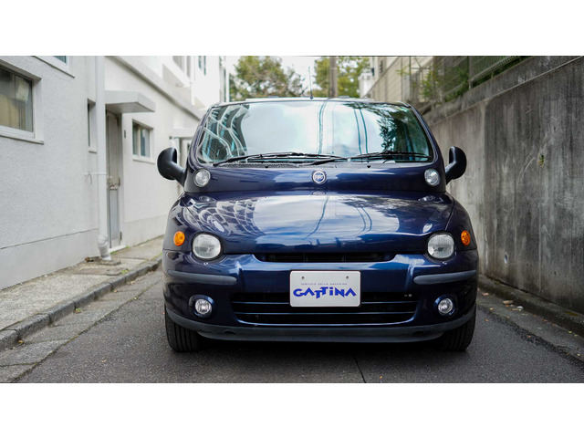 ムルティプラELX プラス