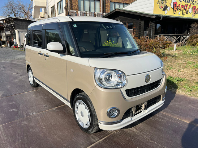 ムーヴキャンバスG メイクアップ SAIII