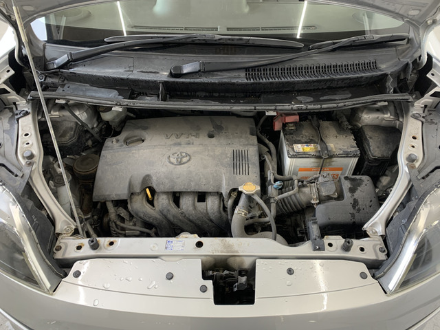 ����]�̂��Ԃ����q�l�ƈꏏ�ɂ��T�����邱�Ƃ��\�ł�!�܂��͂���]�������������������B