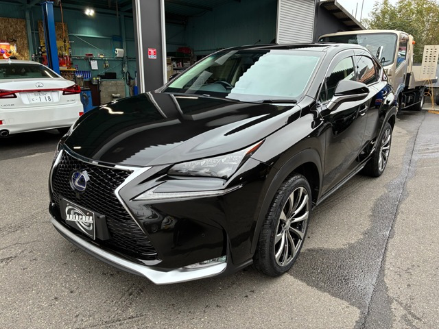 NX(���N�T�X) 300h I�p�b�P�[�W�@���v�V�[�g�q�[�^�[ �T�����[�t F�X�|�[�c�O���� ���Îԉ摜