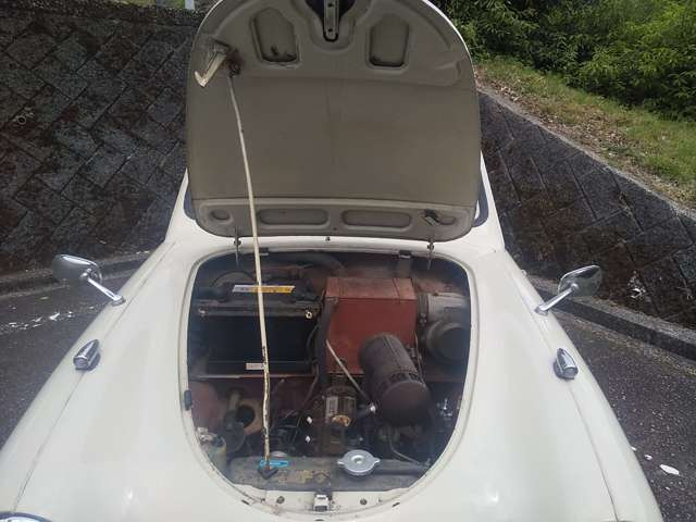 /その他 オースチン