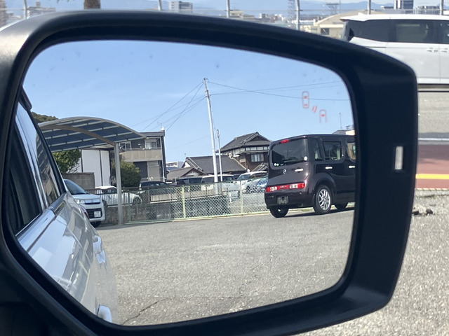 �I�v�V�����̃��A�r�[�N���e�B�e�N�V����(�u���C���h�X�|�b�g���j�^�[)�t��