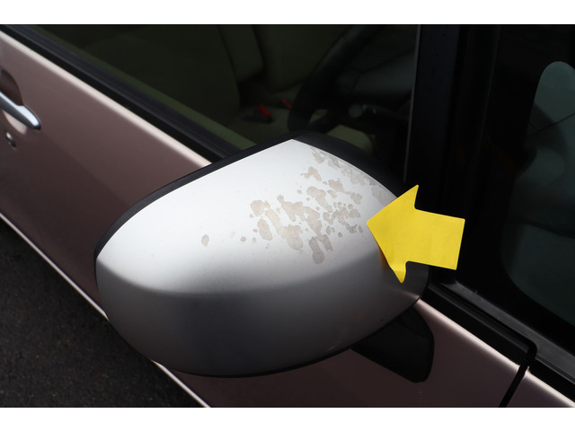 �����̃T�r�͏��Ȃ��ł��B