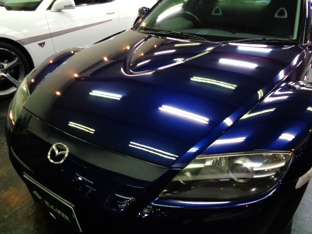 �ۊǏ󋵂��悭����̂���X�g�[�~�[�u���[�}�C�J�J���[�̃{�f�B&�������̍����N���A�w�b�h���C�g�ł��C������F�o���p�[���p��t���̌y���Ȃ��̂��Y��ɕ�C���ꑖ�s�Ɏx��̂Ȃ����̂ł�