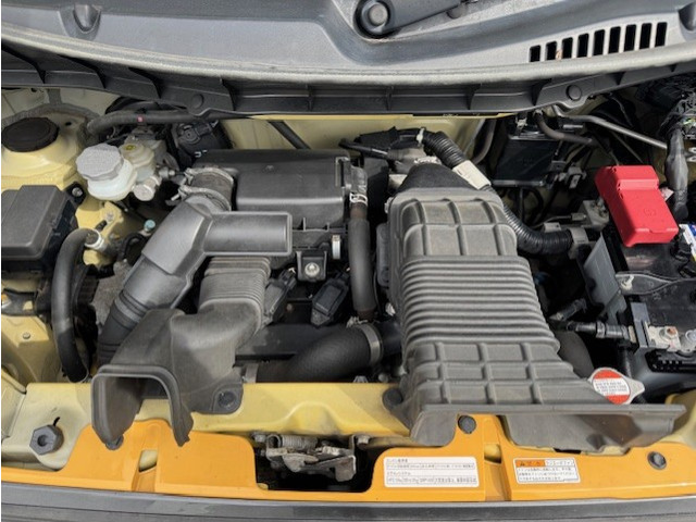 �K�����Ȃ���Ԃ��ǍD�ł��B