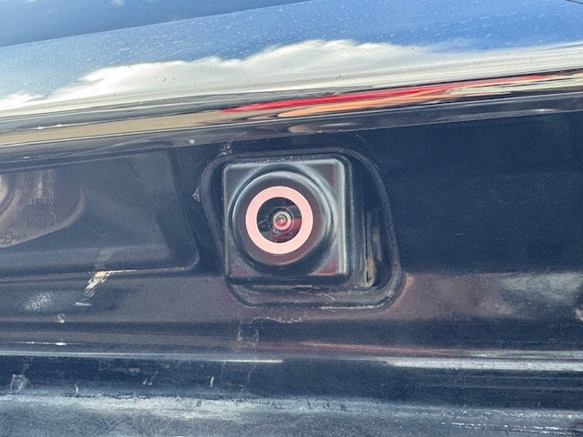 �o�b�N�J�����������Ă���܂��̂Œ��Ԃ����ȕ������S!